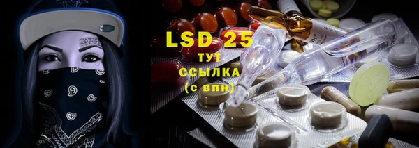 шишки Нея