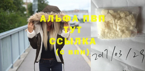 шишки Нея