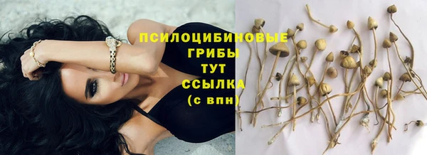 тгк Новокубанск