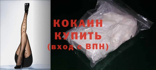 шишки Нея